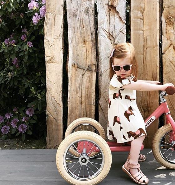 Loopfiets 4 in 1 Trybike Wood DE GELE FLAMINGO De Gele Flamingo