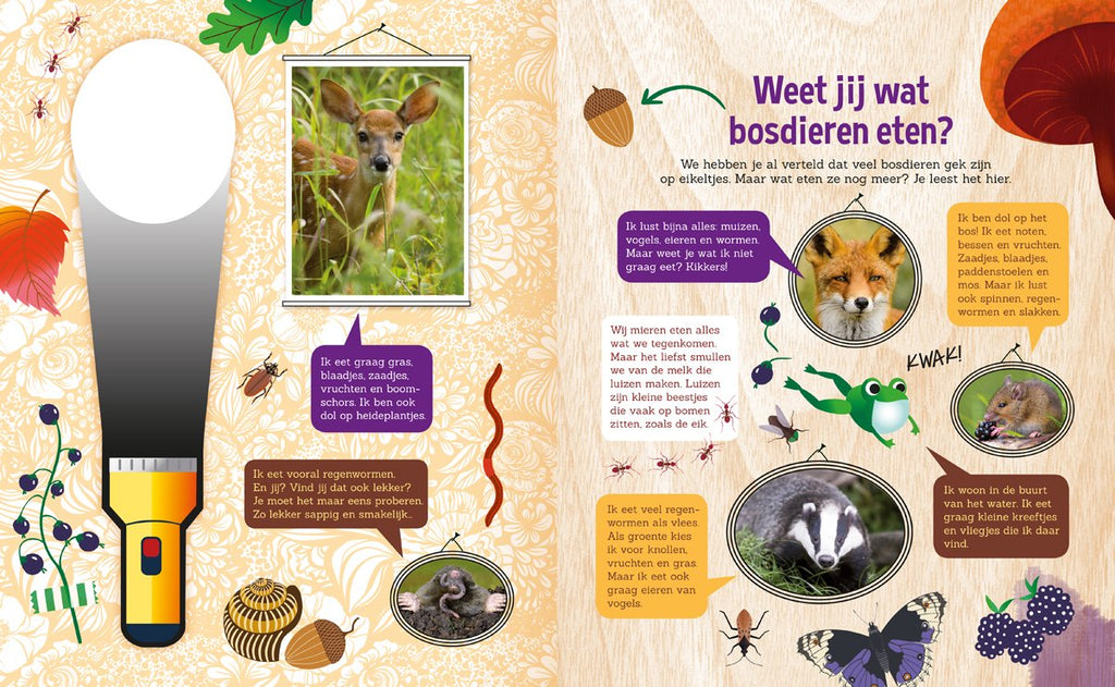 De Lantaarn Speuren In Het Bos | Voorleesverhaal