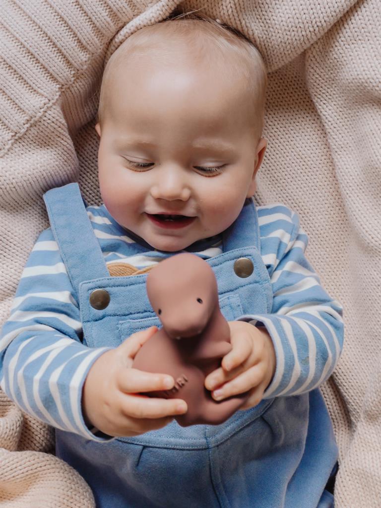 Tikiri Mijn Eerste Dinosaurus / T|Rex 10,2cm | Natuurlijk Rubber