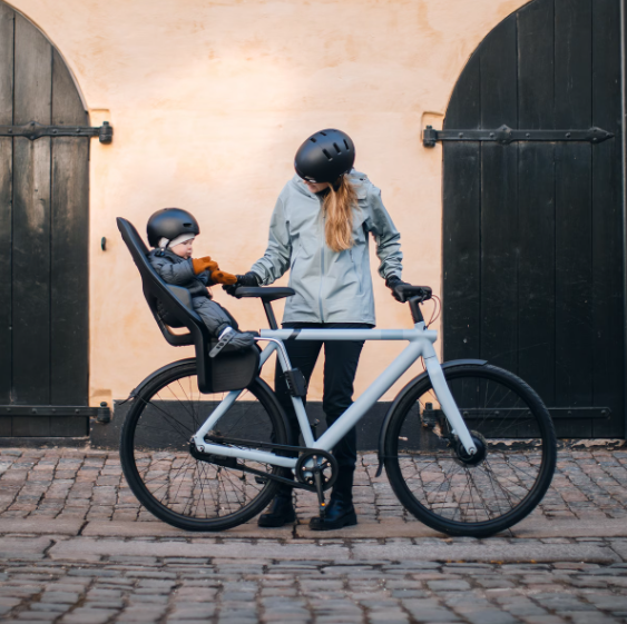 Thule Yepp 2 Maxi Kinderfietsstoeltje | Fennel Tan