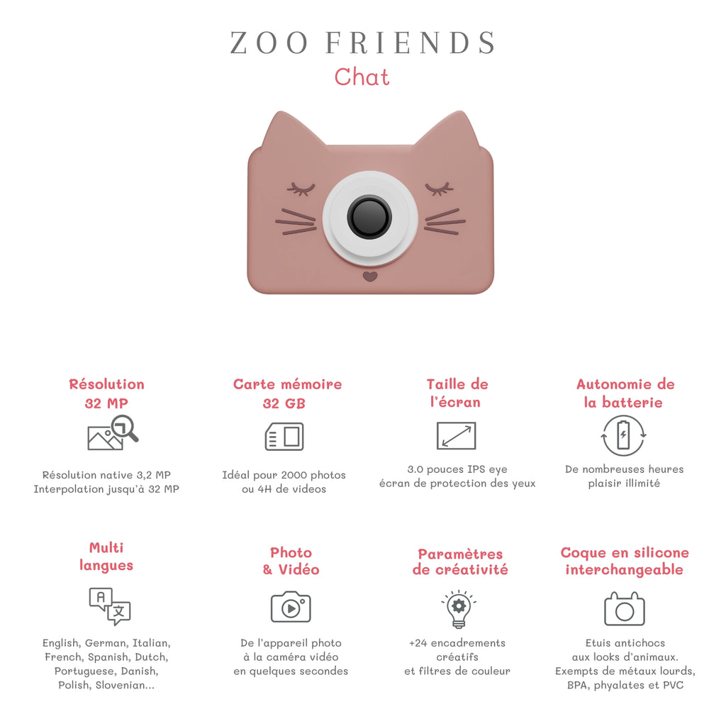 The Zoofamily Zoo friends | cat