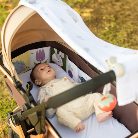 Taf Toys Speelmat Outdoors Kit 0M+ | Newborn