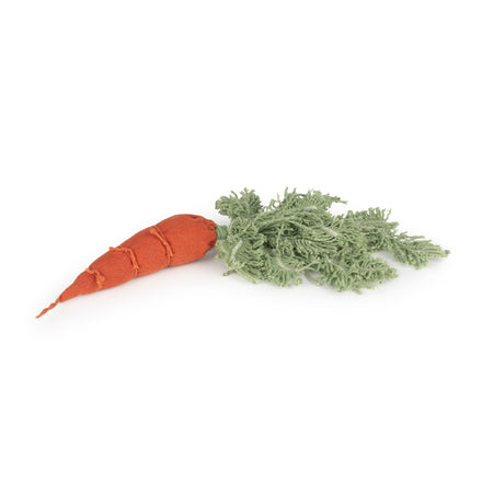 Oli & Carol Knutselset DIY | Cathy The Carrot